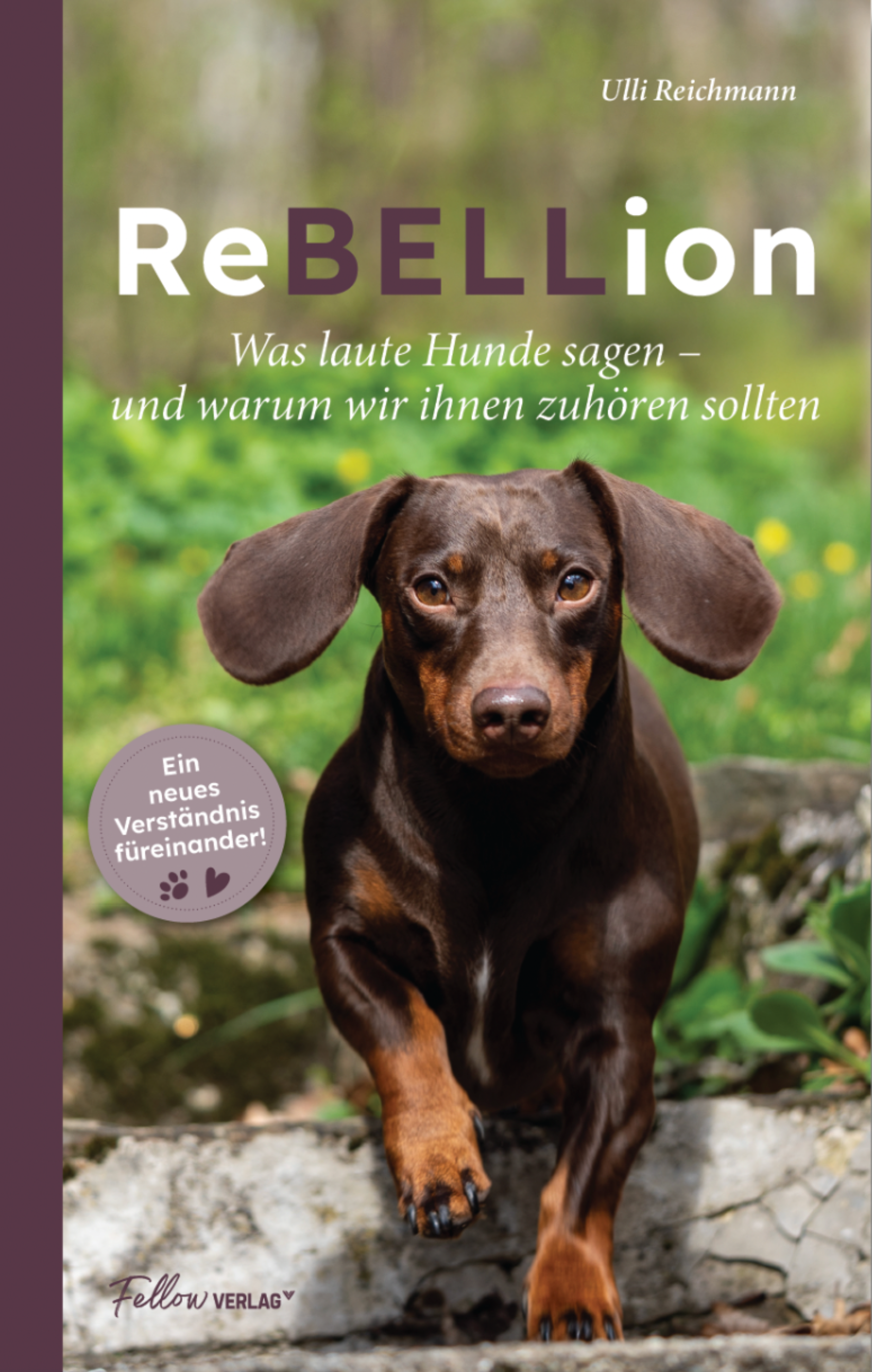Buchcover - ReBELLion